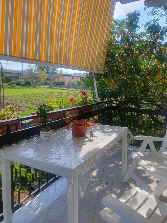 Ospitalita Il Noce Bed & Breakfast Brusciano Luaran gambar
