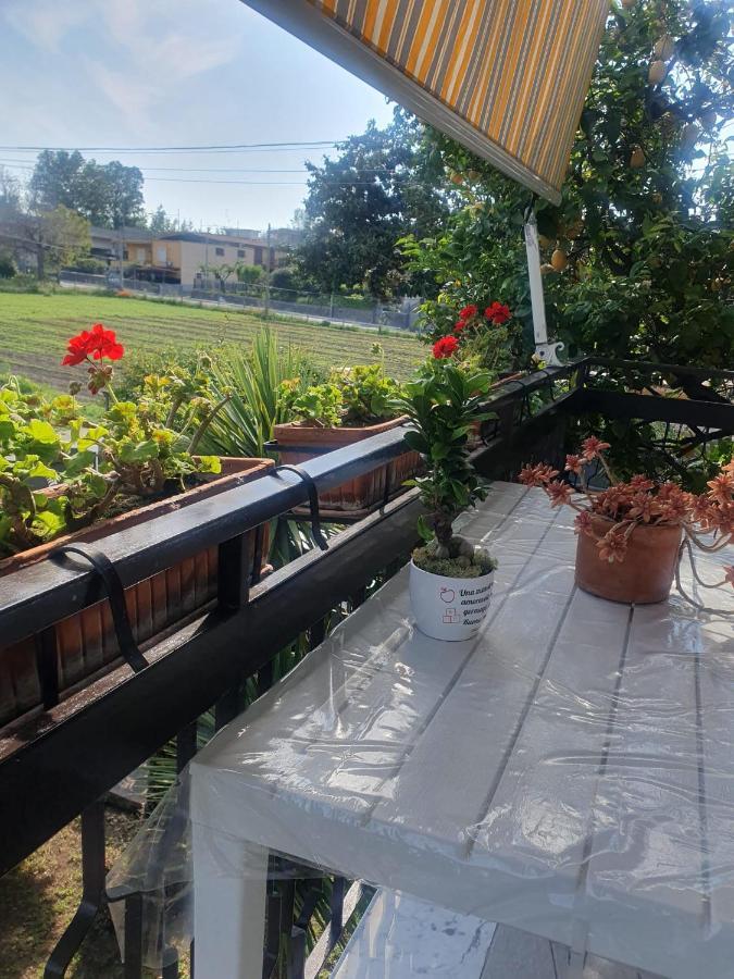 Ospitalita Il Noce Bed & Breakfast Brusciano Luaran gambar
